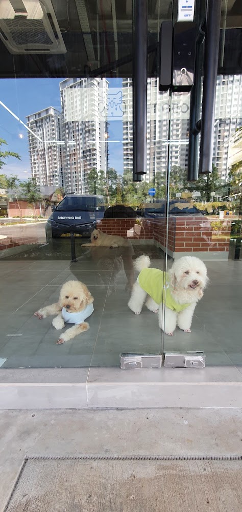 Black Nose Pet Shop